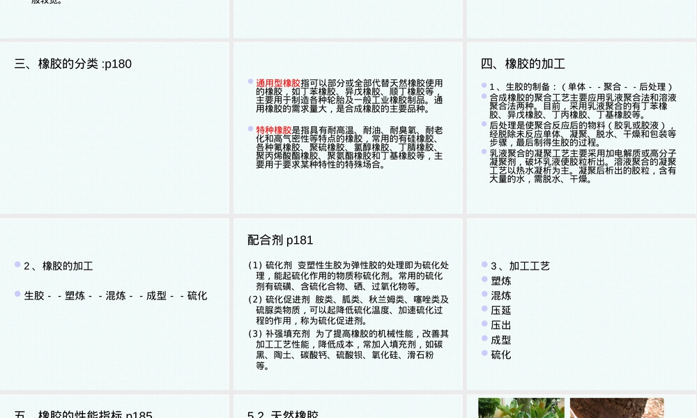 塑料与橡胶高分子材料第五章橡胶教学PPT课件.ppt