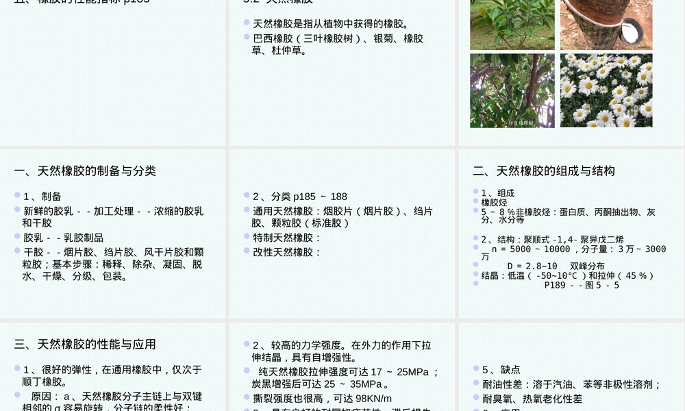 塑料与橡胶高分子材料第五章橡胶教学PPT课件.ppt