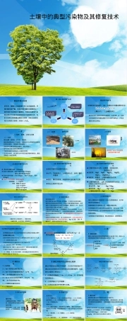 土壤中的典型污染物及其修复技术PPT课件.pptx