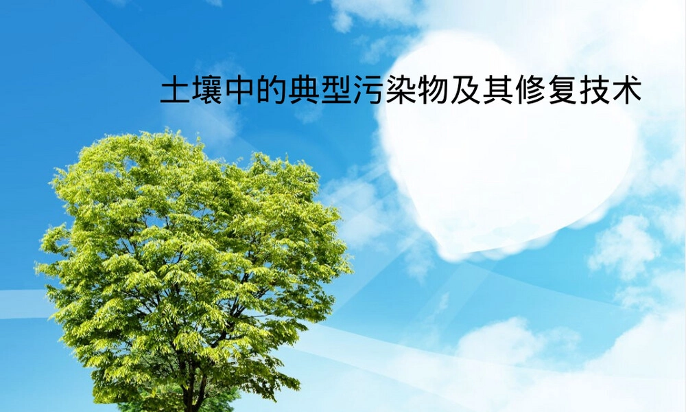 土壤中的典型污染物及其修复技术PPT课件.pptx