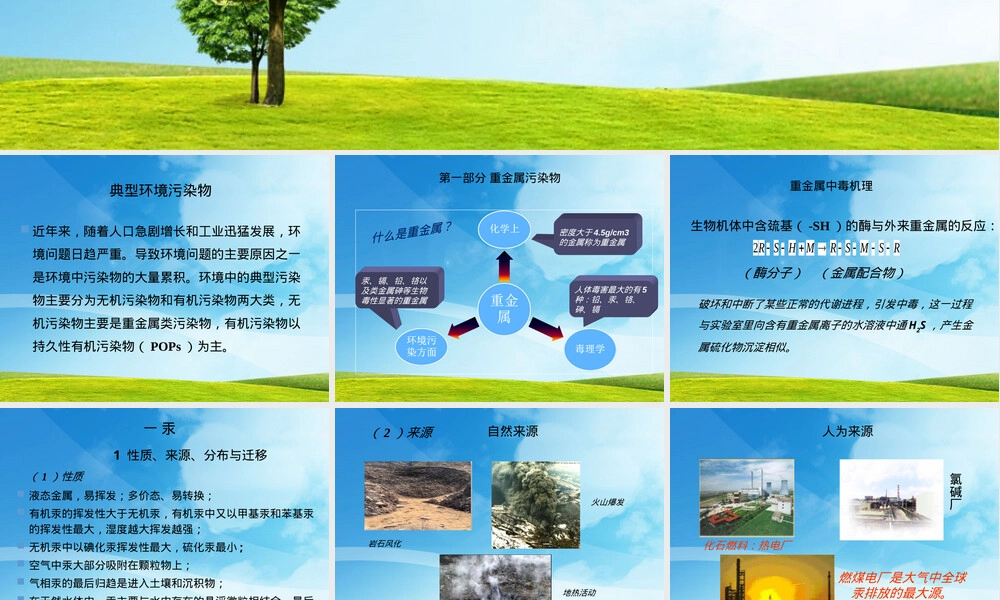 土壤中的典型污染物及其修复技术PPT课件.pptx