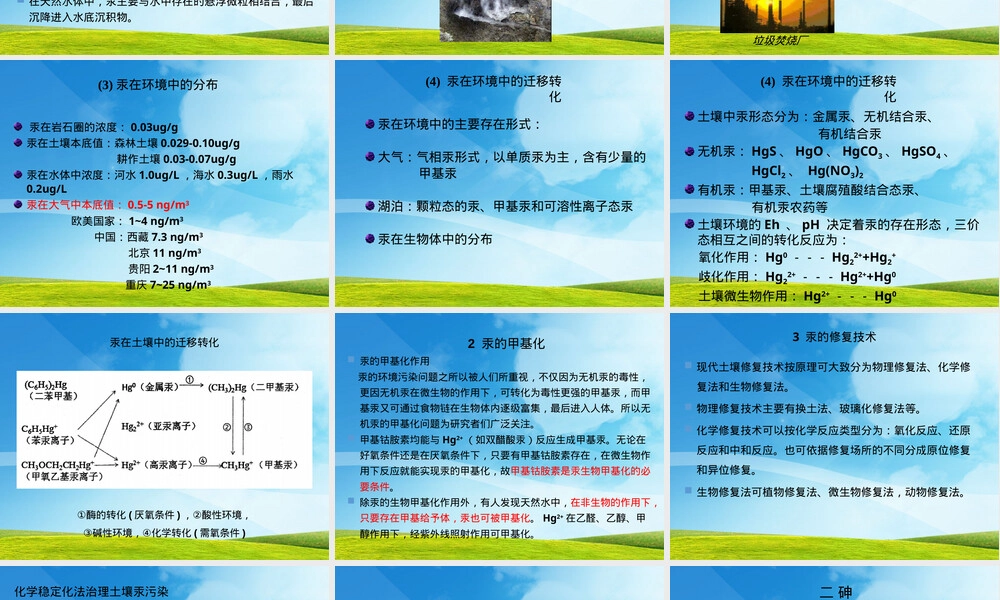 土壤中的典型污染物及其修复技术PPT课件.pptx