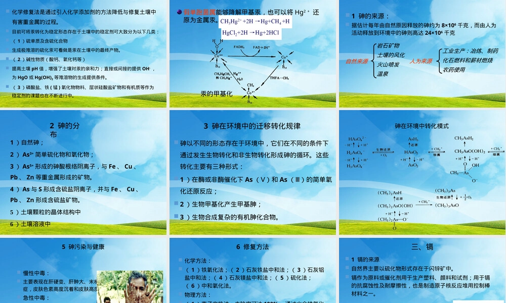土壤中的典型污染物及其修复技术PPT课件.pptx