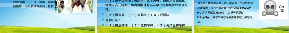 土壤中的典型污染物及其修复技术PPT课件.pptx