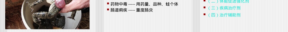 蛙类饲养管理及疾病防治PPT课件.ppt