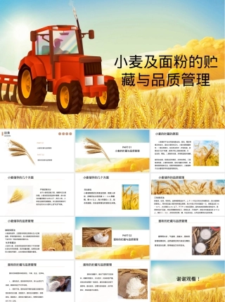 小麦及面粉贮藏与品质管理PPT课件.pptx
