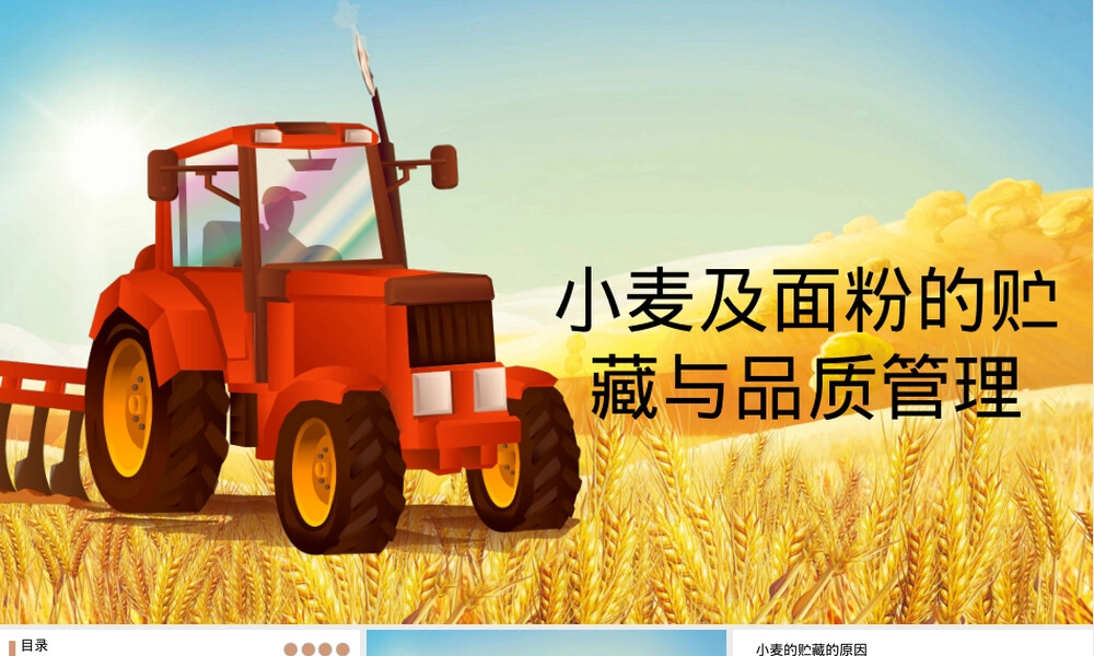 小麦及面粉贮藏与品质管理PPT课件.pptx