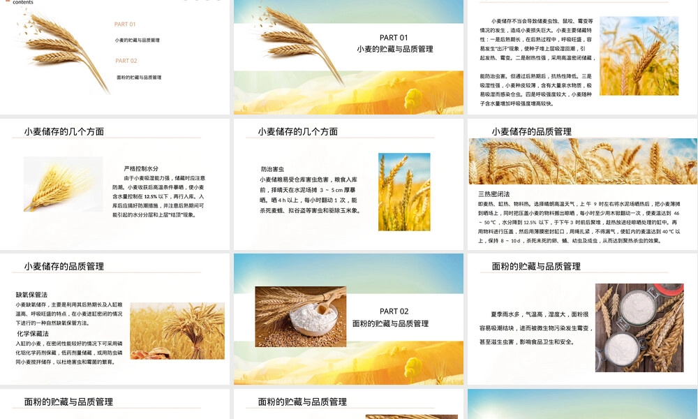 小麦及面粉贮藏与品质管理PPT课件.pptx