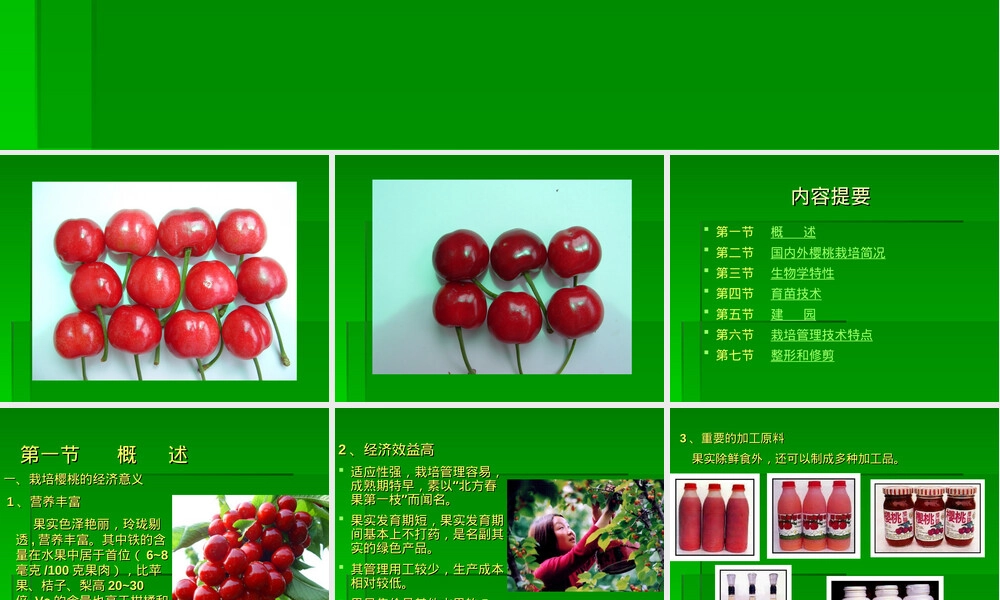 樱桃栽培与管理技术PPT课件.ppt