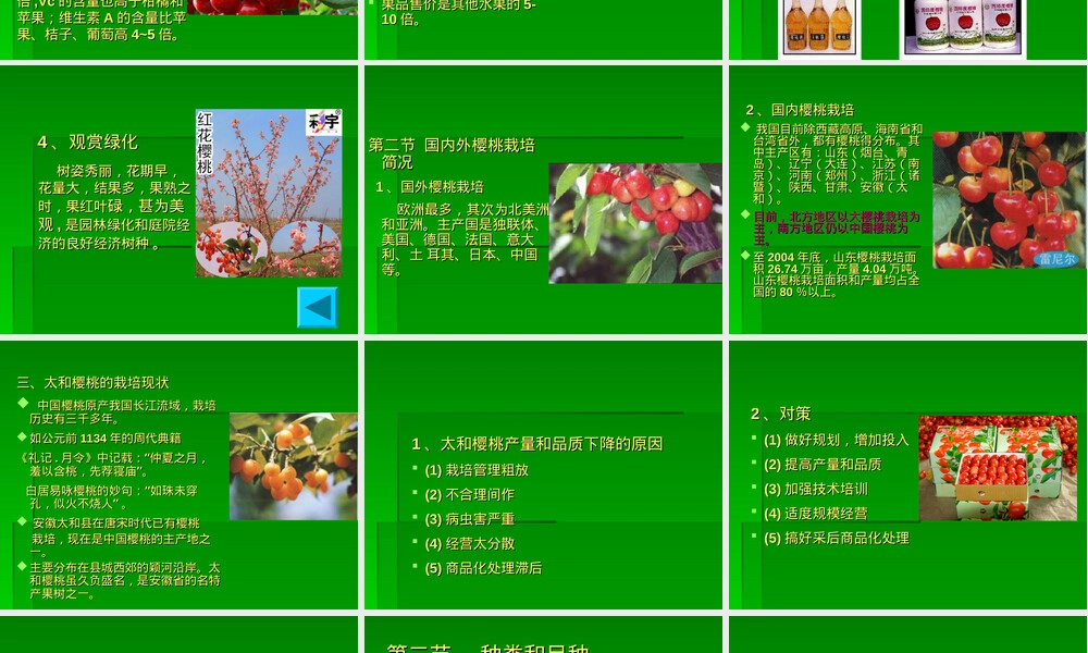 樱桃栽培与管理技术PPT课件.ppt