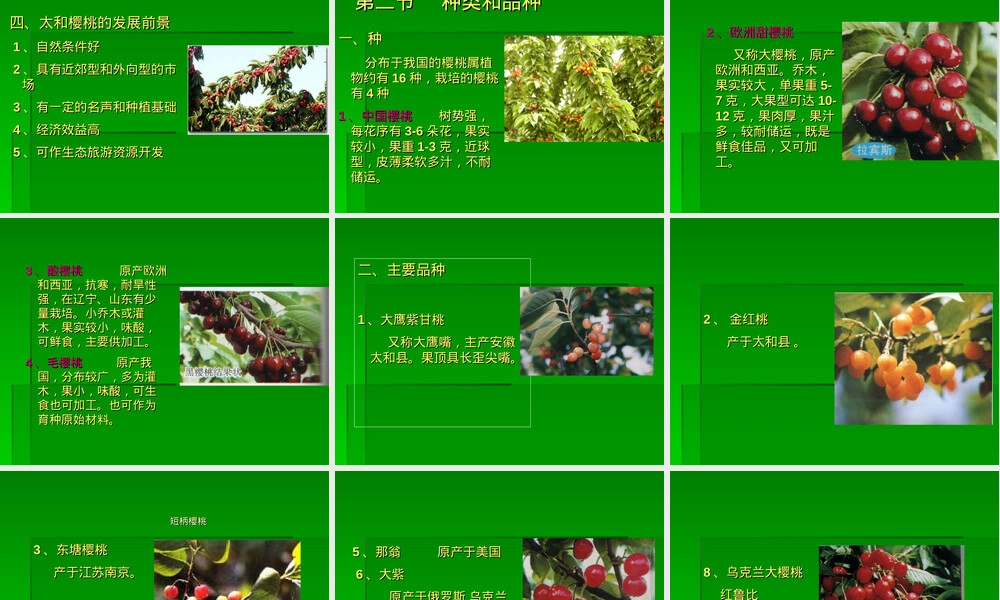 樱桃栽培与管理技术PPT课件.ppt