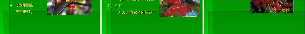 樱桃栽培与管理技术PPT课件.ppt