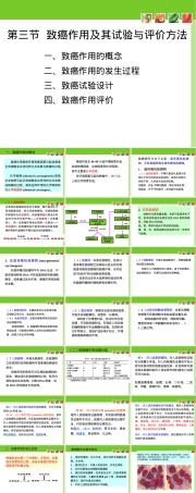 致癌作用及其试验与评价方法PPT课件.ppt