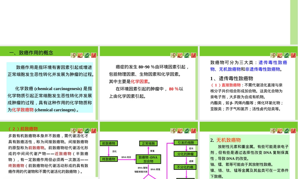 致癌作用及其试验与评价方法PPT课件.ppt