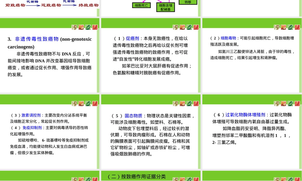 致癌作用及其试验与评价方法PPT课件.ppt