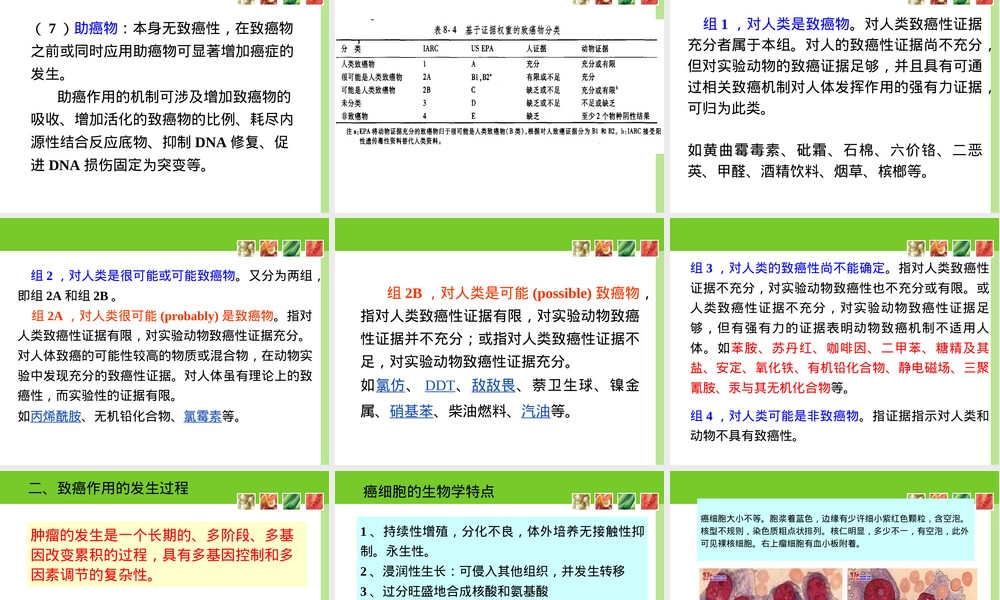 致癌作用及其试验与评价方法PPT课件.ppt