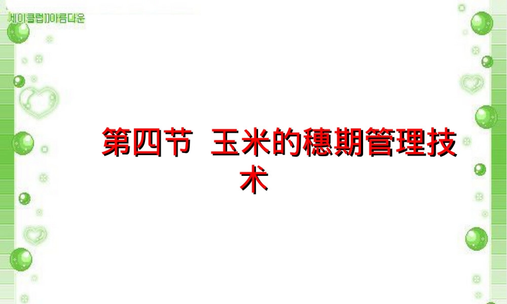 玉米穗期管理技术教学PPT课件.ppt