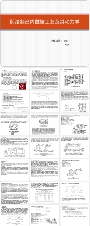 肟法制己内酰胺工艺及其动力学PPT课件.pptx