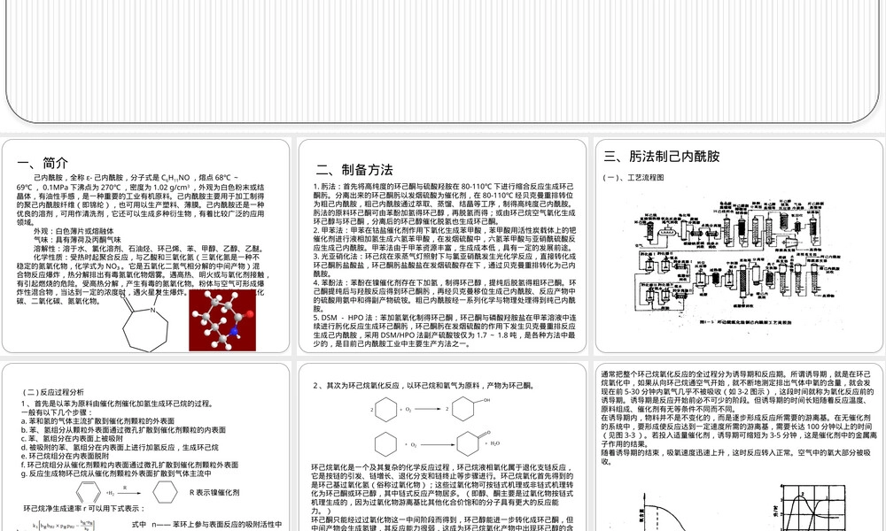 肟法制己内酰胺工艺及其动力学PPT课件.pptx
