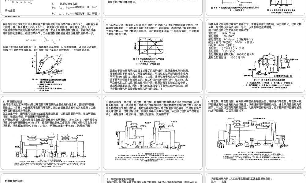 肟法制己内酰胺工艺及其动力学PPT课件.pptx