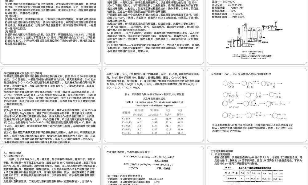 肟法制己内酰胺工艺及其动力学PPT课件.pptx