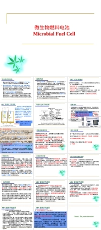 微生物燃料电池PPT课件教学版.ppt