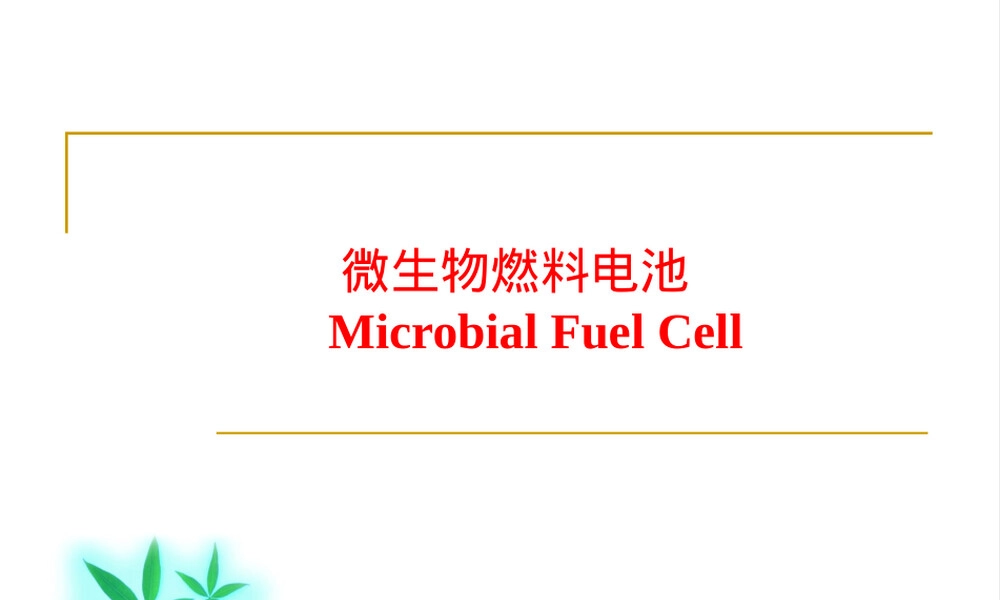 微生物燃料电池PPT课件教学版.ppt
