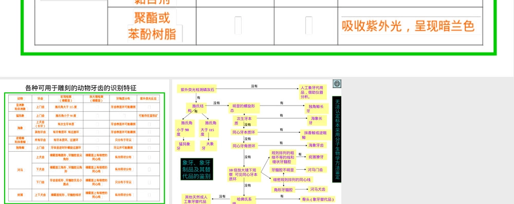 象牙及其制品鉴定PPT课件.ppt
