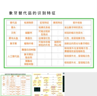 象牙及其制品鉴定PPT课件.ppt