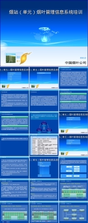 烟叶管理信息系统基层应用培训PPT课件.ppt