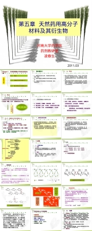 天然药用高分子材料及其衍生物教学PPT课件.ppt