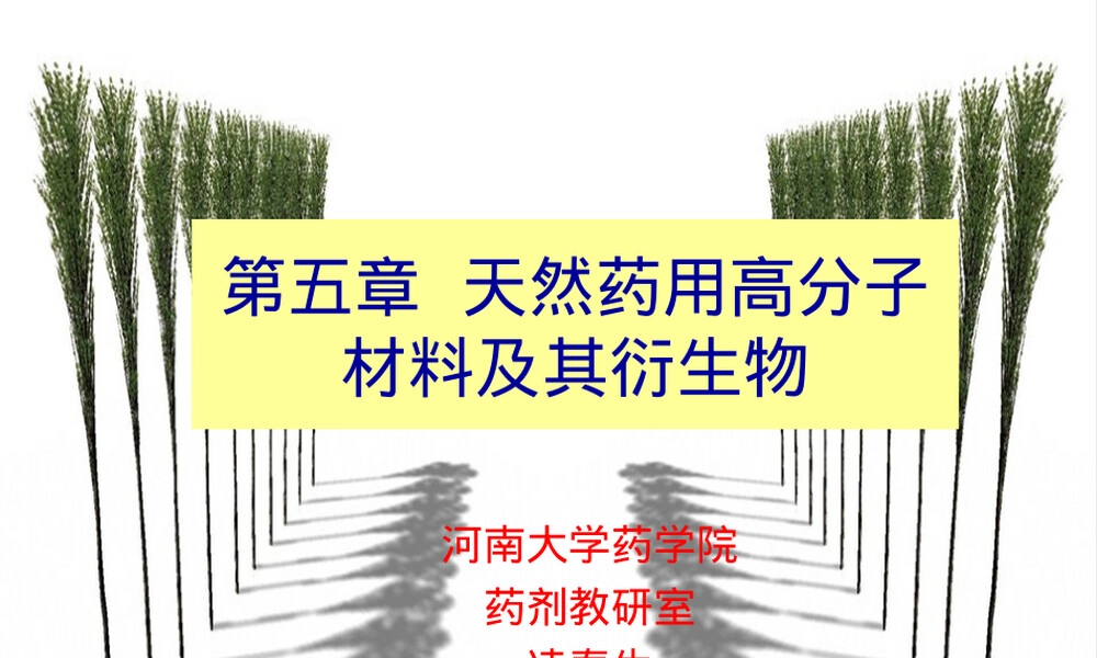 天然药用高分子材料及其衍生物教学PPT课件.ppt