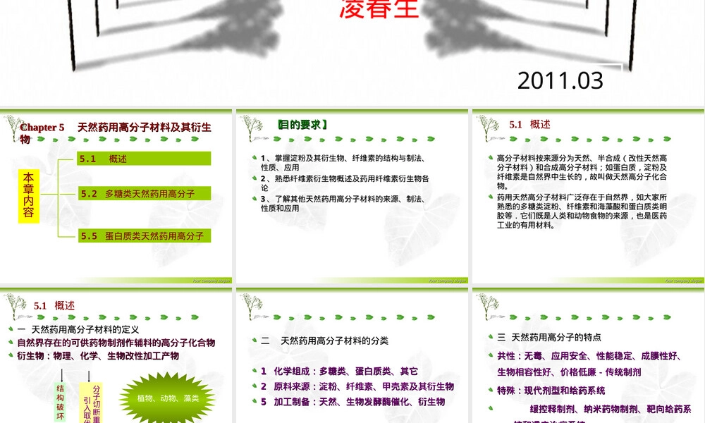 天然药用高分子材料及其衍生物教学PPT课件.ppt