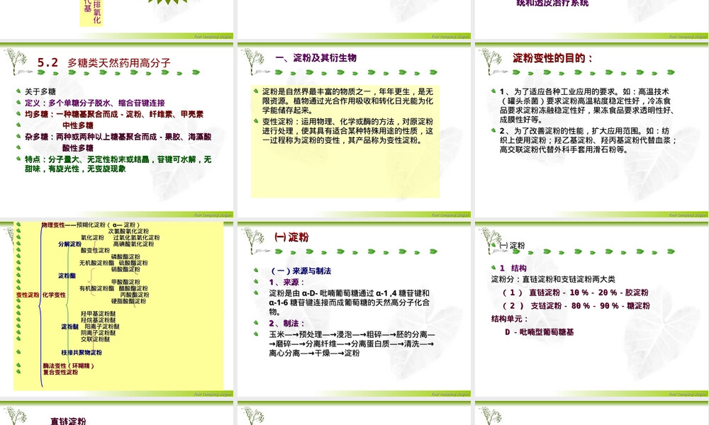 天然药用高分子材料及其衍生物教学PPT课件.ppt