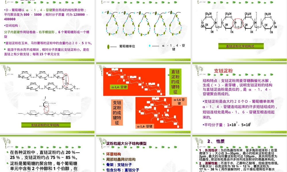 天然药用高分子材料及其衍生物教学PPT课件.ppt