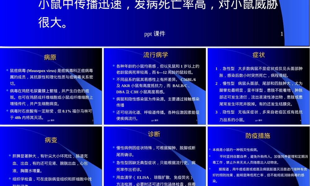 鼠痘实验动物管理教学PPT课件.ppt
