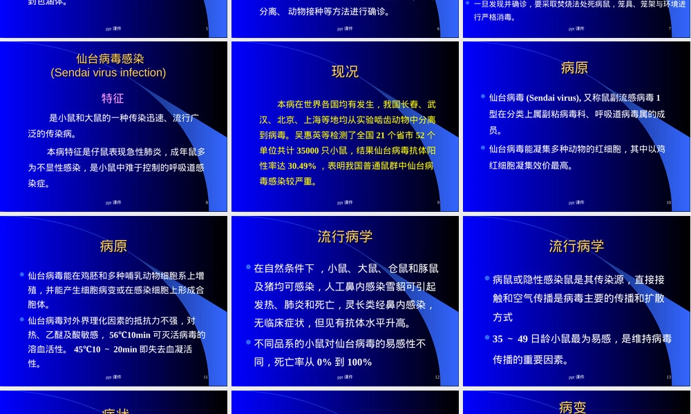 鼠痘实验动物管理教学PPT课件.ppt