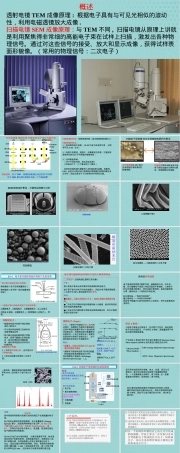 材料分析方法扫描电子显微镜PPT课件.pptx