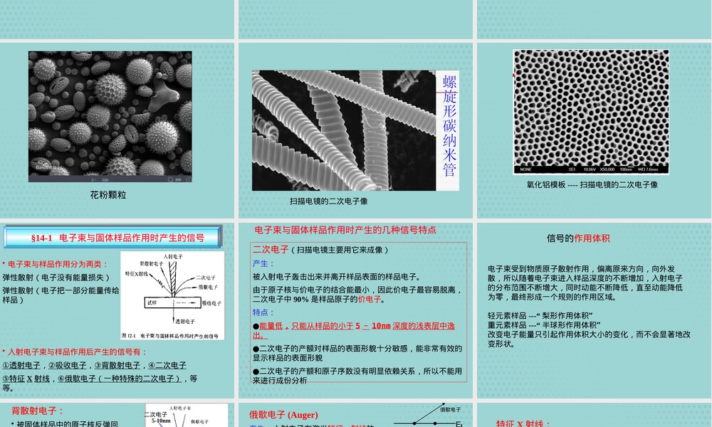 材料分析方法扫描电子显微镜PPT课件.pptx