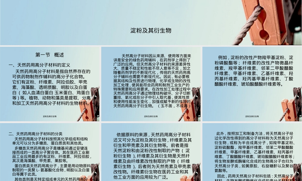 淀粉及其衍生物教学PPT课件.ppt