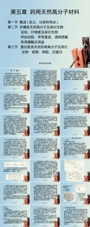 淀粉及其衍生物教学PPT课件.ppt