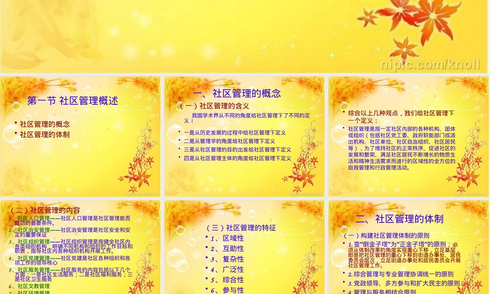 第三章社区管理的体制与模式PPT课件.ppt