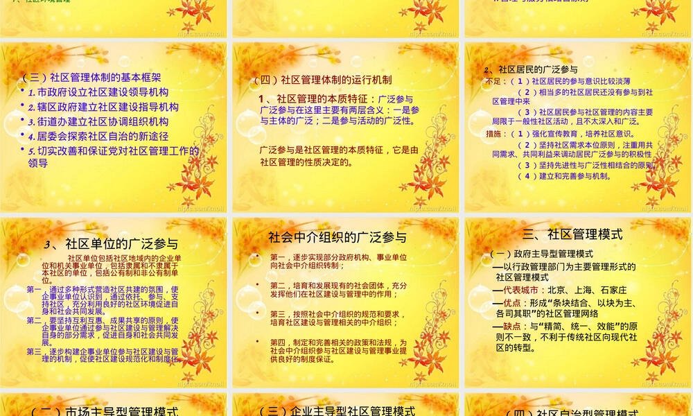 第三章社区管理的体制与模式PPT课件.ppt