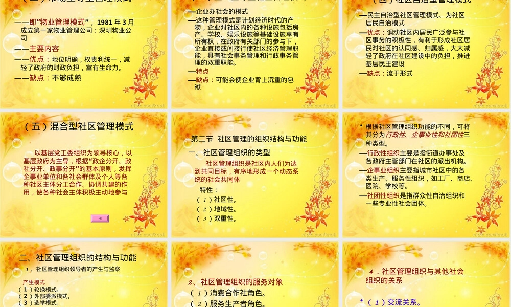 第三章社区管理的体制与模式PPT课件.ppt