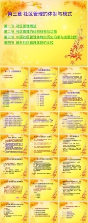 第三章社区管理的体制与模式PPT课件.ppt