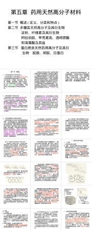 淀粉及其衍生物PPT课件.ppt
