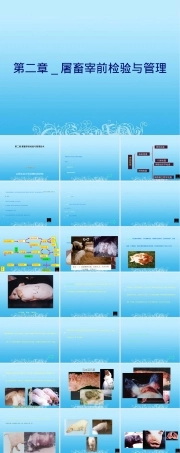 第二章屠畜宰前检验与管理PPT课件.ppt