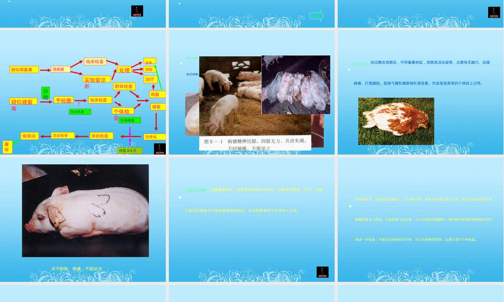 第二章屠畜宰前检验与管理PPT课件.ppt