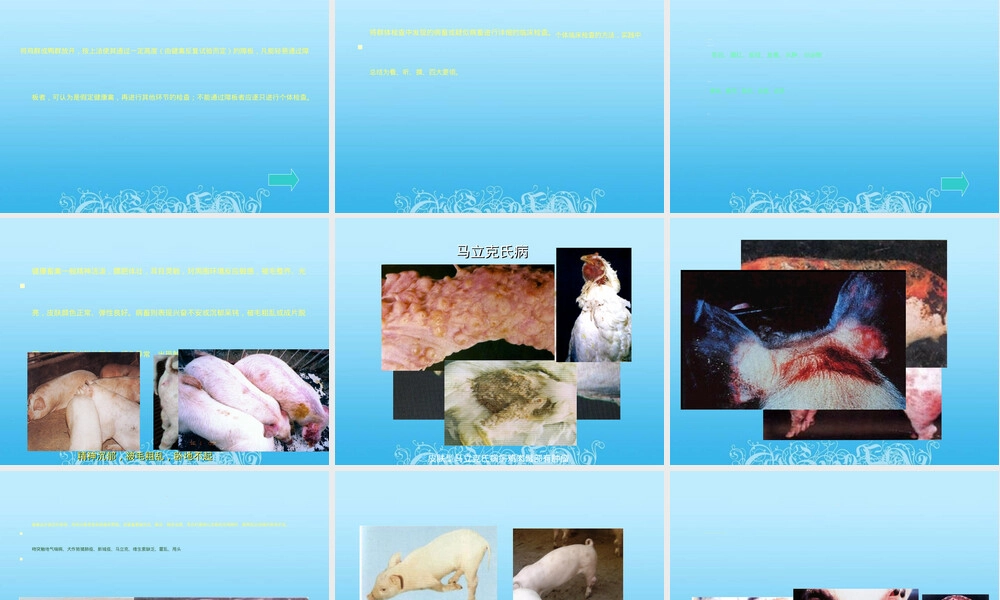 第二章屠畜宰前检验与管理PPT课件.ppt