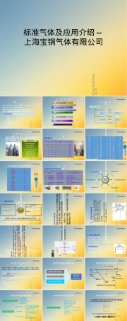 标准气体及其应用教学PPT课件.ppt